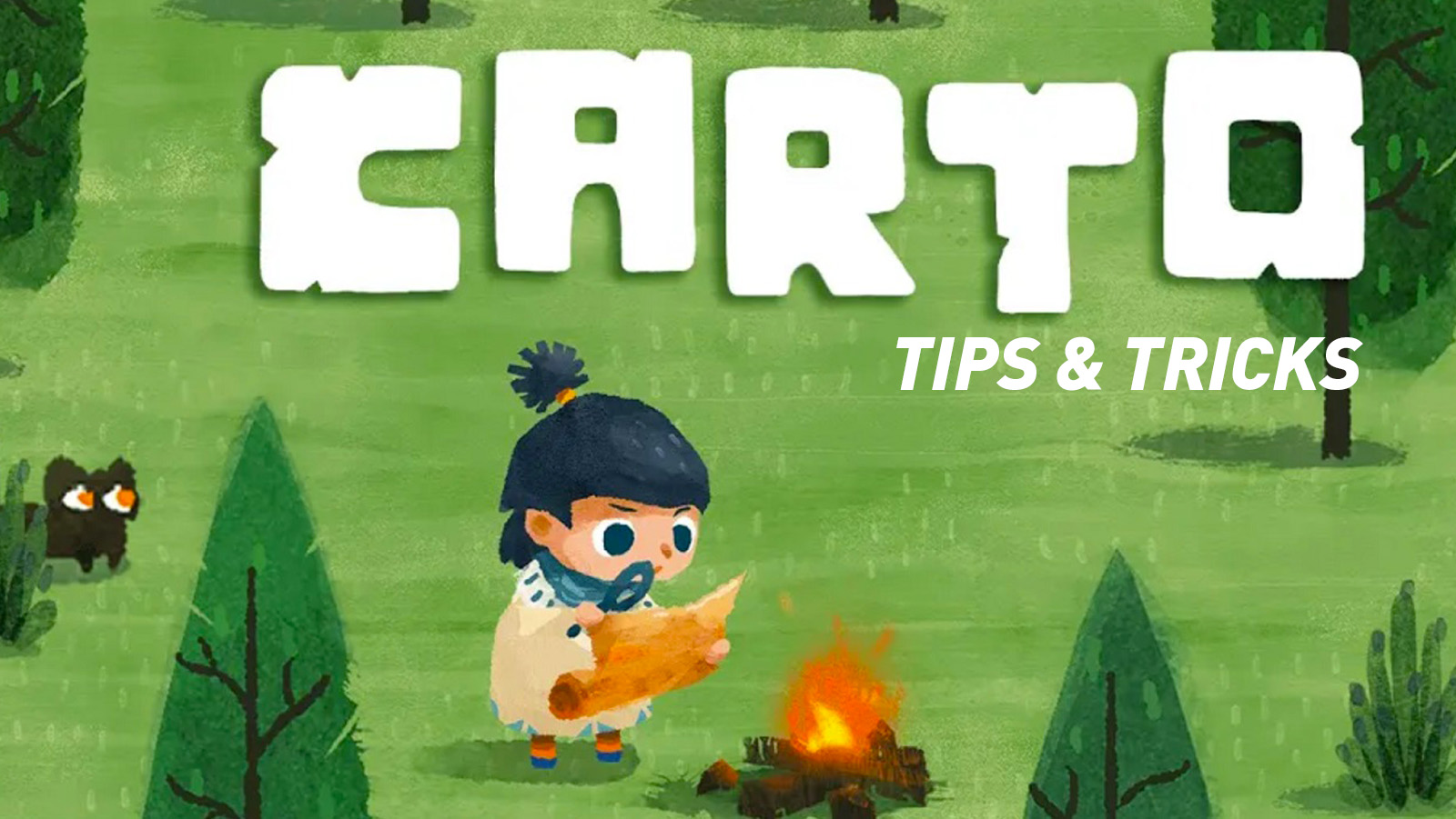 Carto Tips