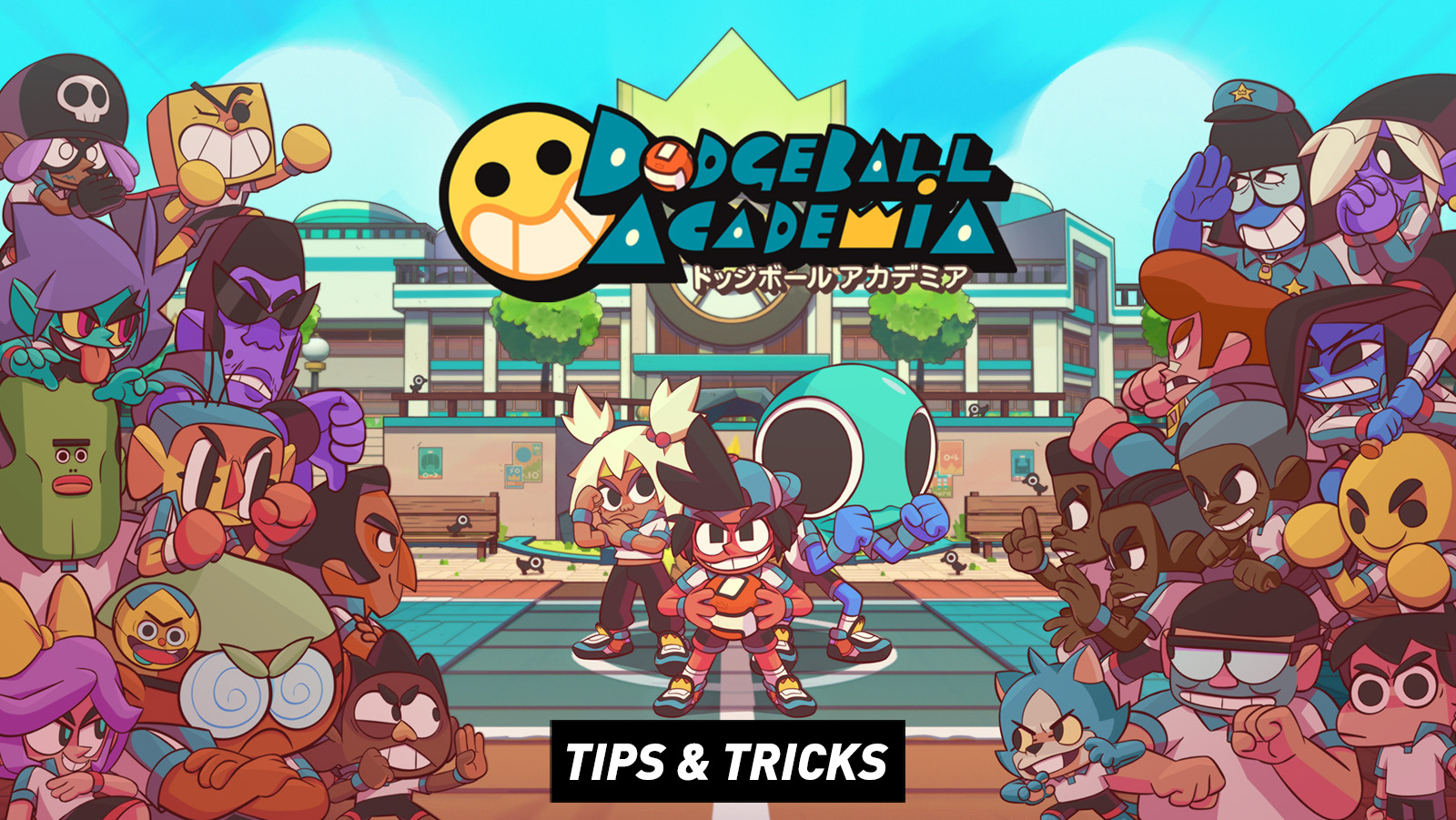 Dodgeball Academia Tips and Hints