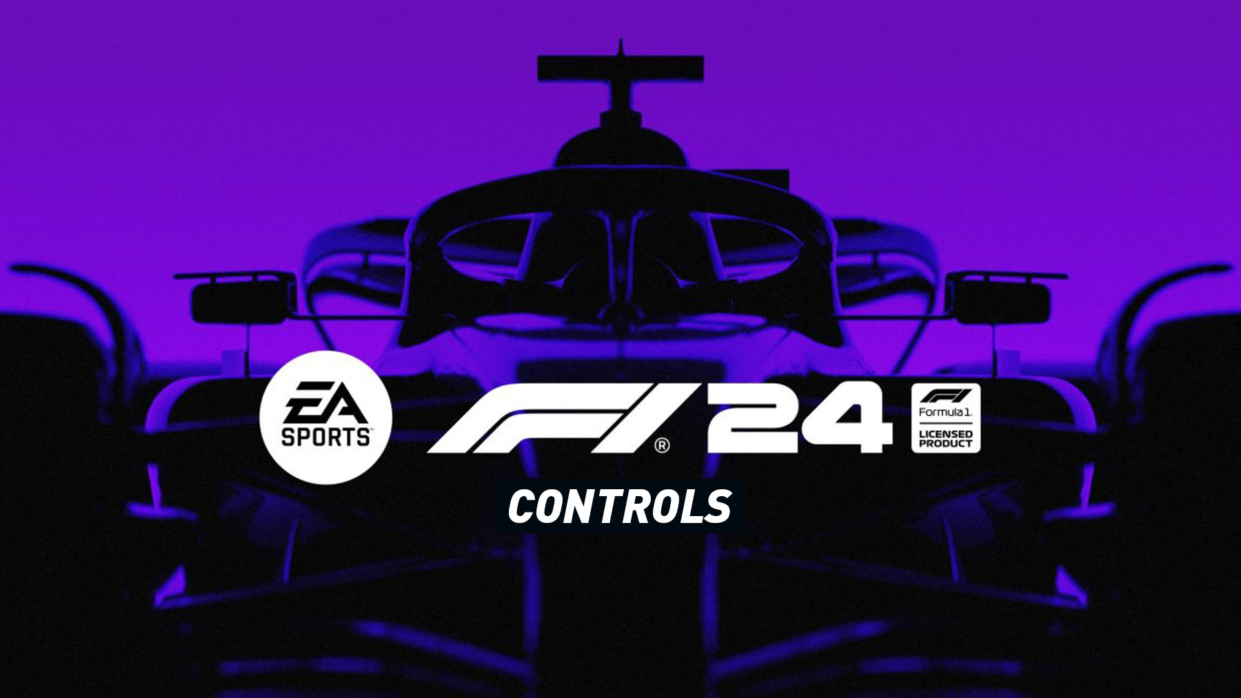 F1 24 - Controls