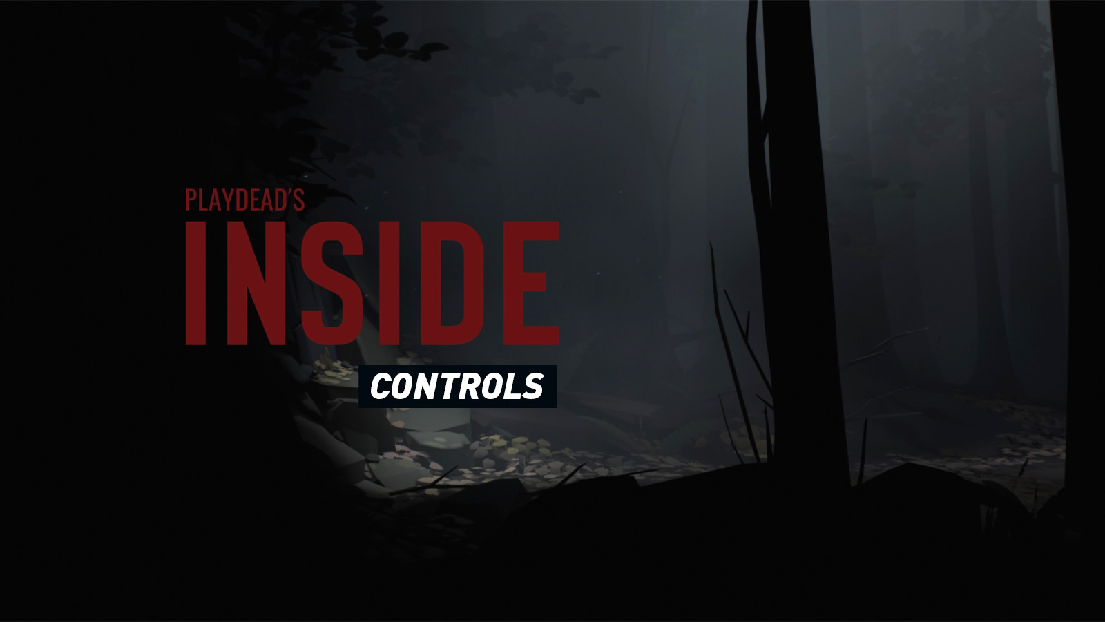 INSIDE - Controls