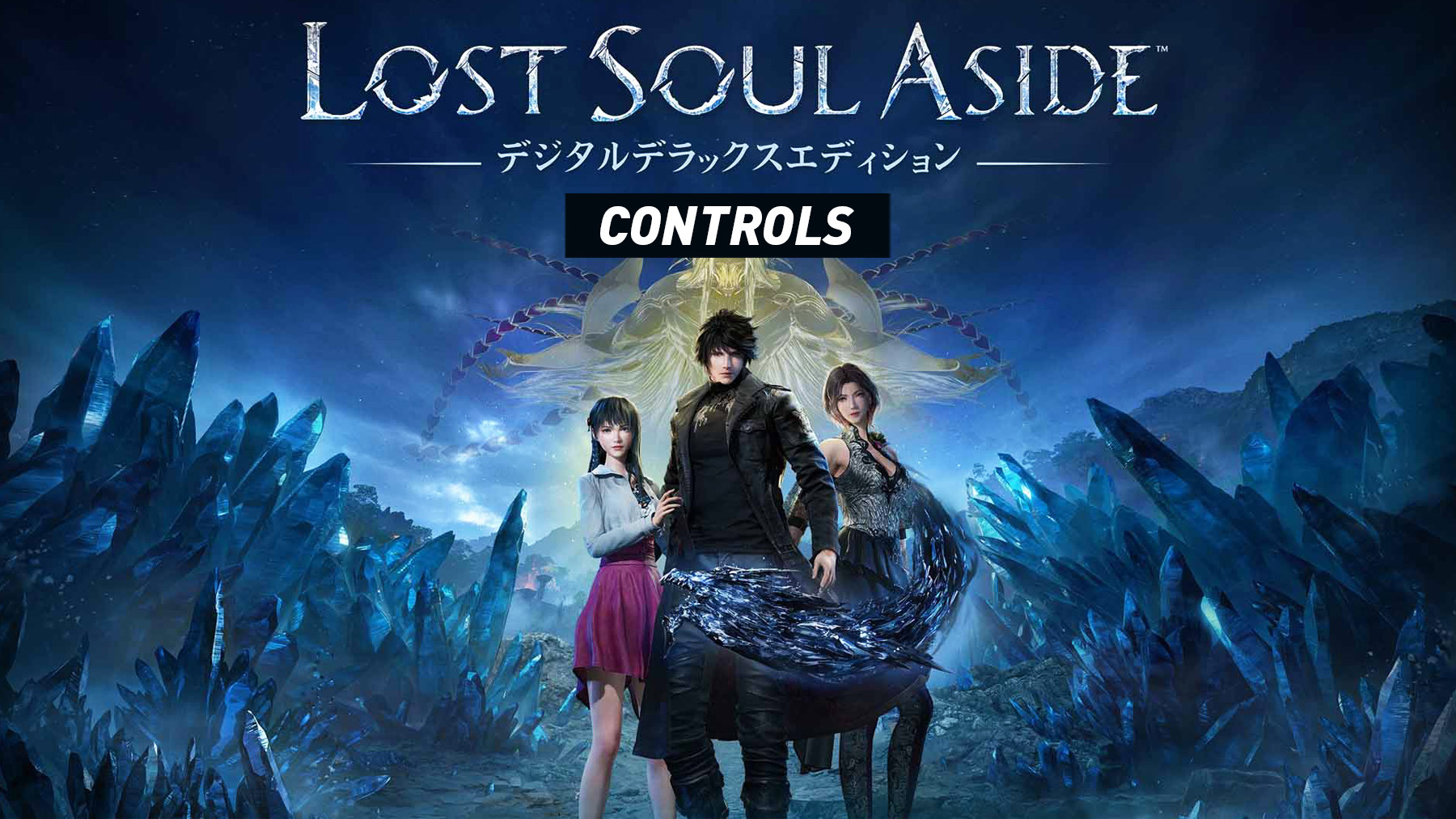 Lost Soul Aside Controls