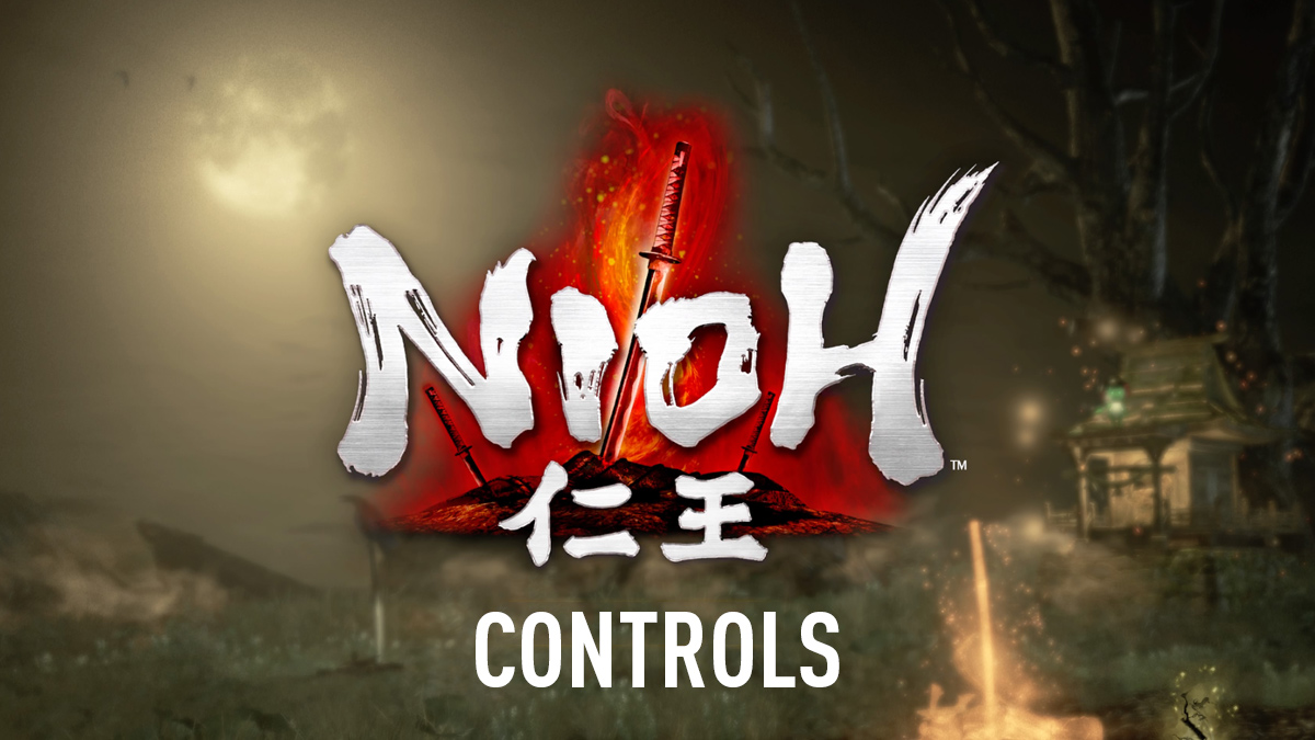 Nioh Controls