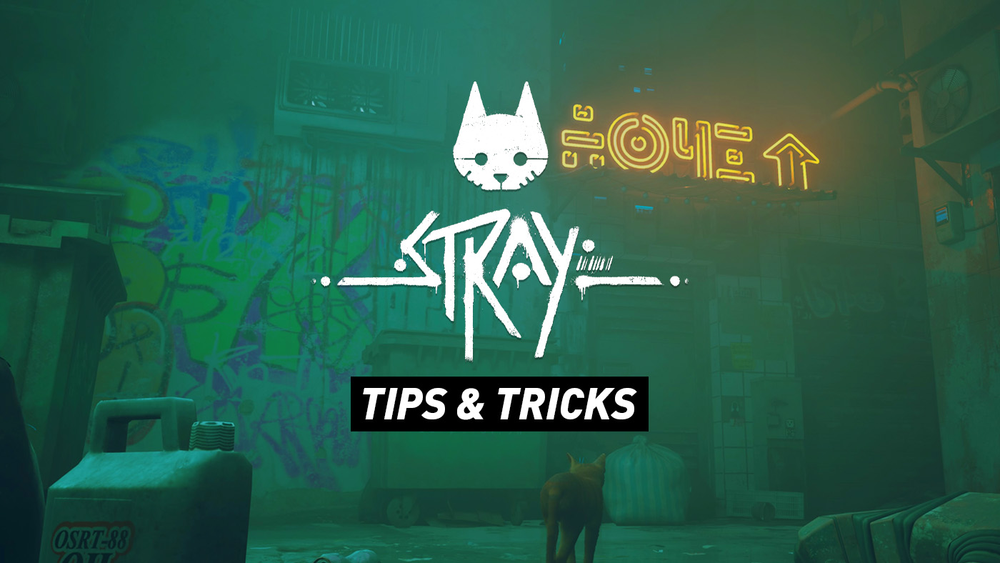 Stray - Some Tips & A Comprehensive Guide