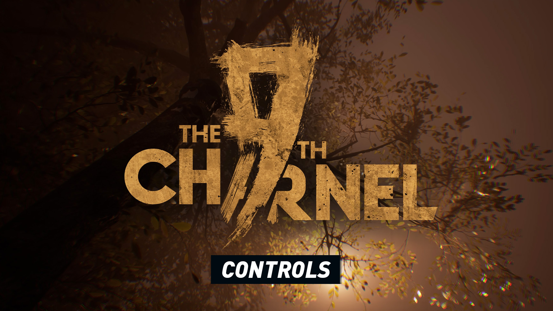 The 9th Charnel - Controls