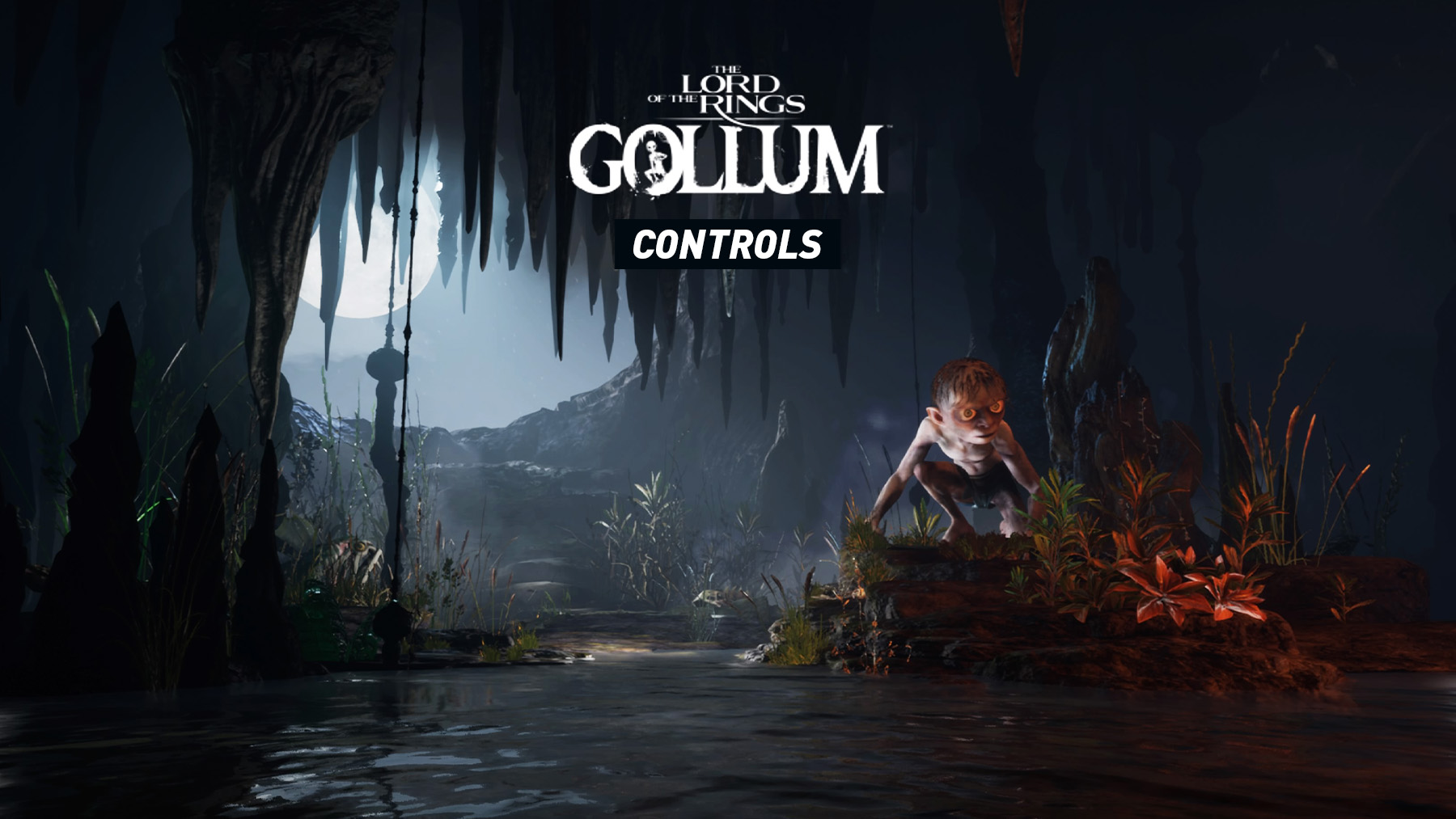 The Lord of the Rings Gollum Controls