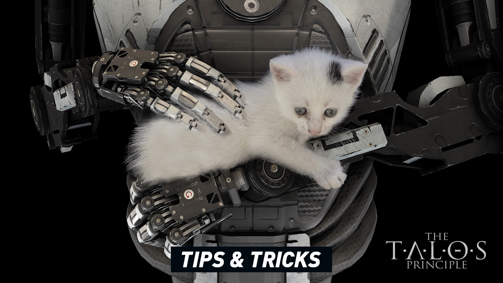 The Talos Principle - Tips and Hints