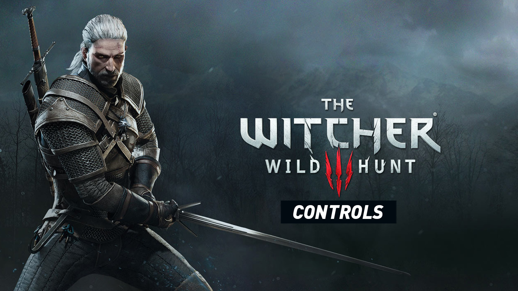 The Witcher 3 Wild Hunt Controls