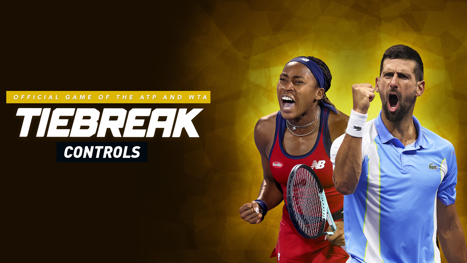 TIEBREAK: Official Game of the ATP and WTA - Controls